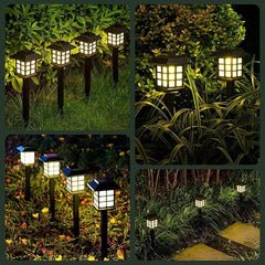 Solar Garden Yard Light (Pack of 6)