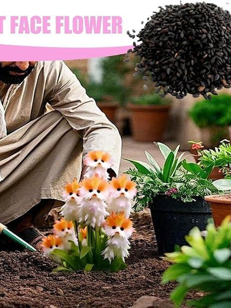 Cat Eye Dazzle Seeds + Plant Growth Serum Free